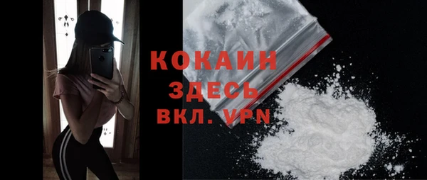 стаф Мегион