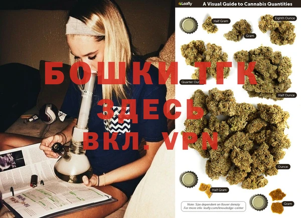 МДПВ Медногорск