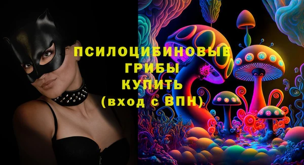 дмт Касимов